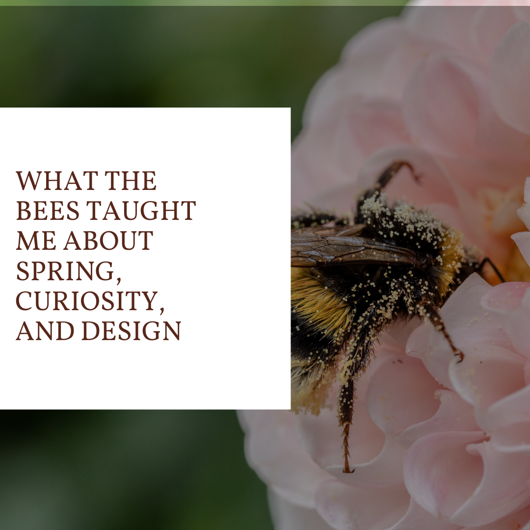 What the Bees Taught Me About Spring, Curiosity, and Design