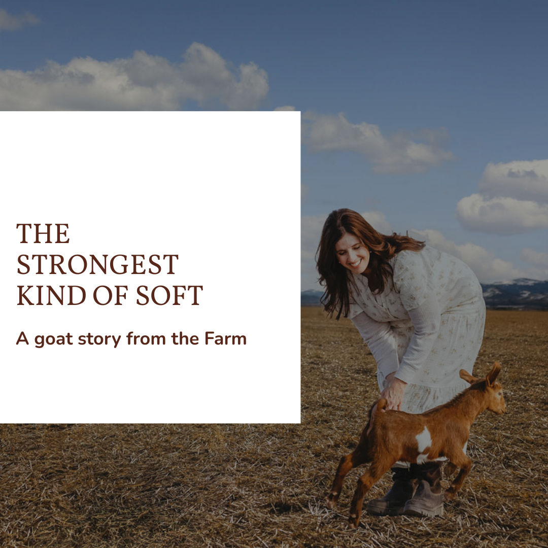 The Strongest Kind of Soft: A Story from the Farm