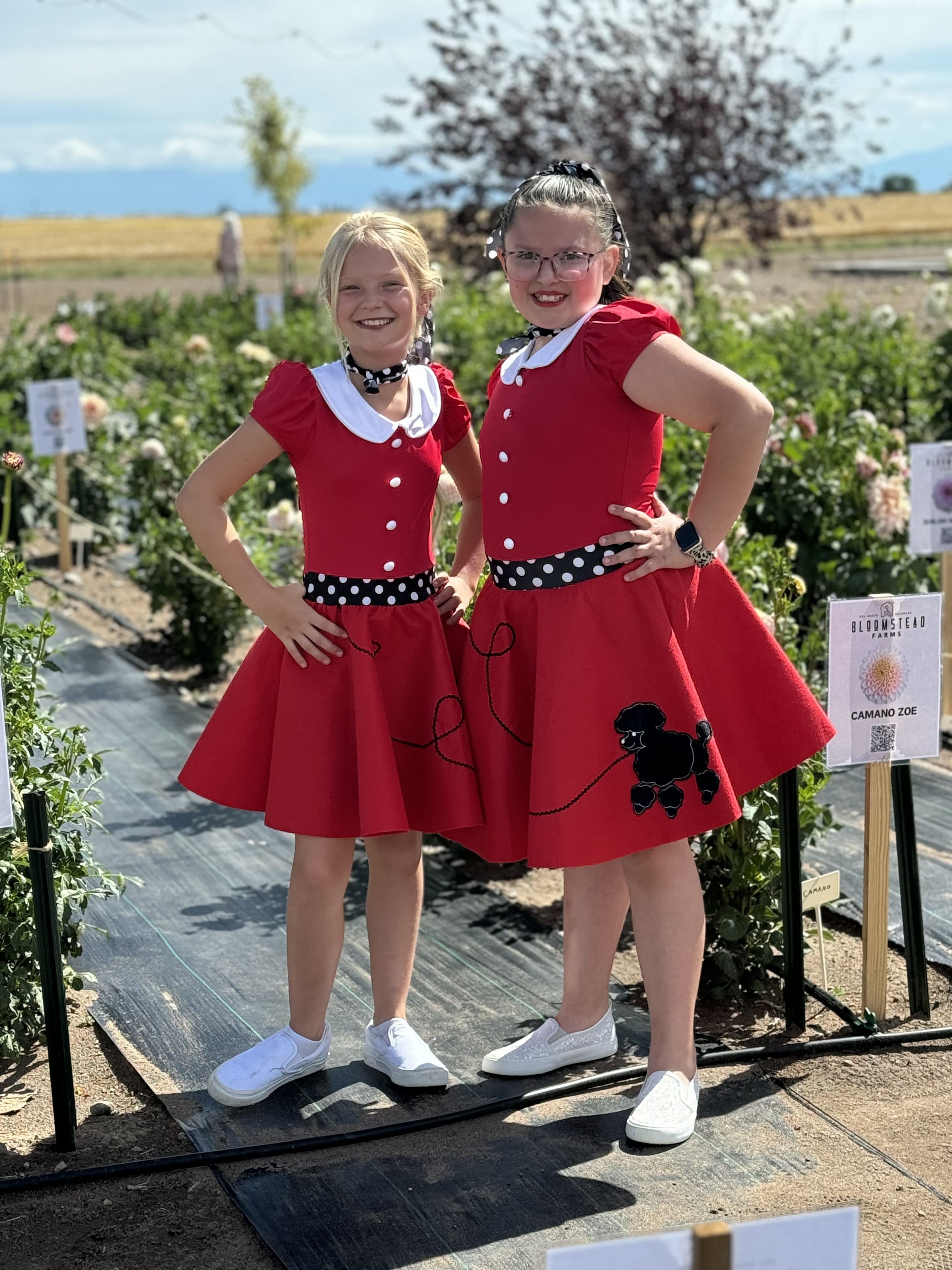 Fall at Bloomstead: Community Farm Day FREE! August 29th