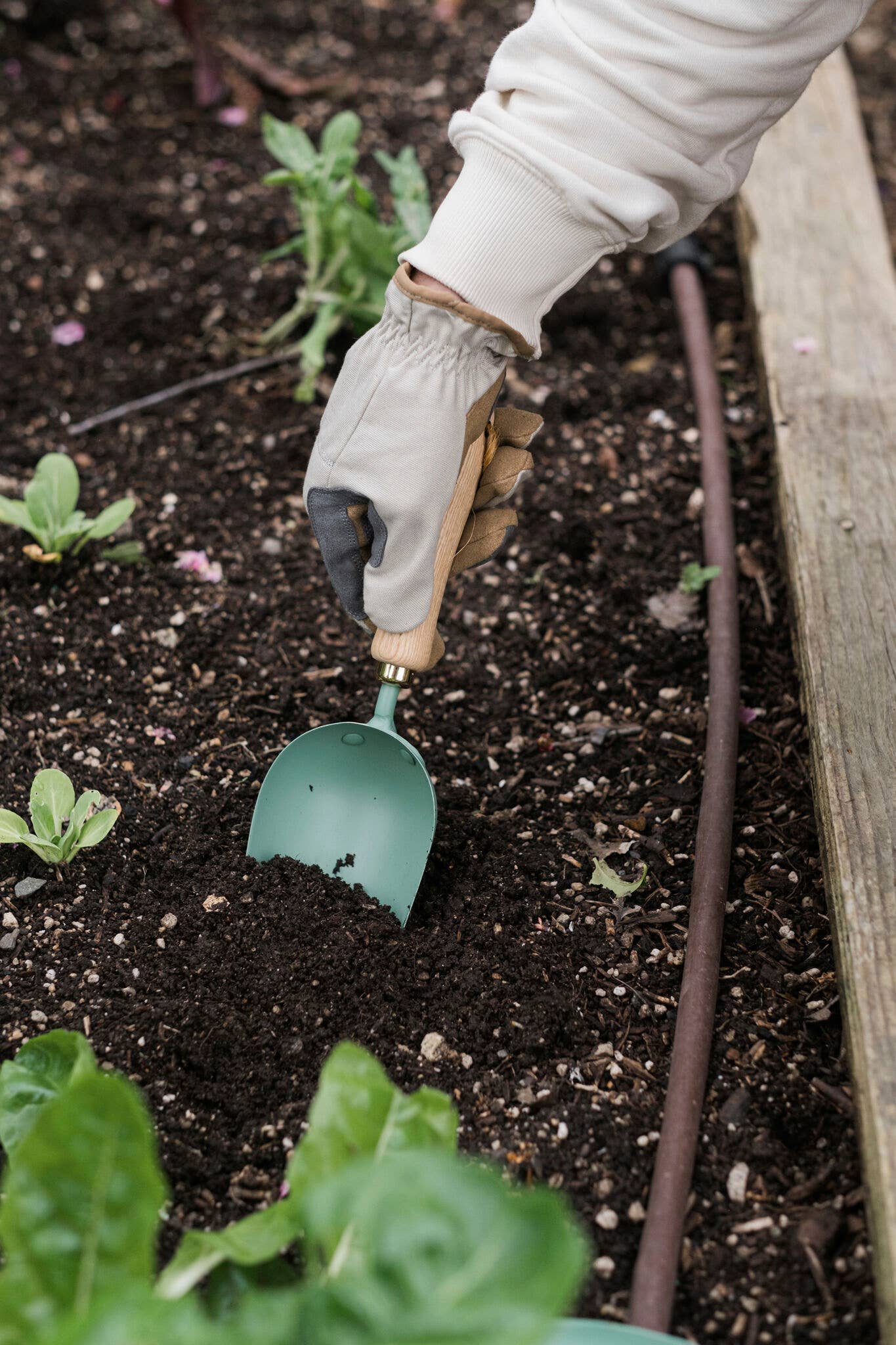 The Homestead Garden Scoop