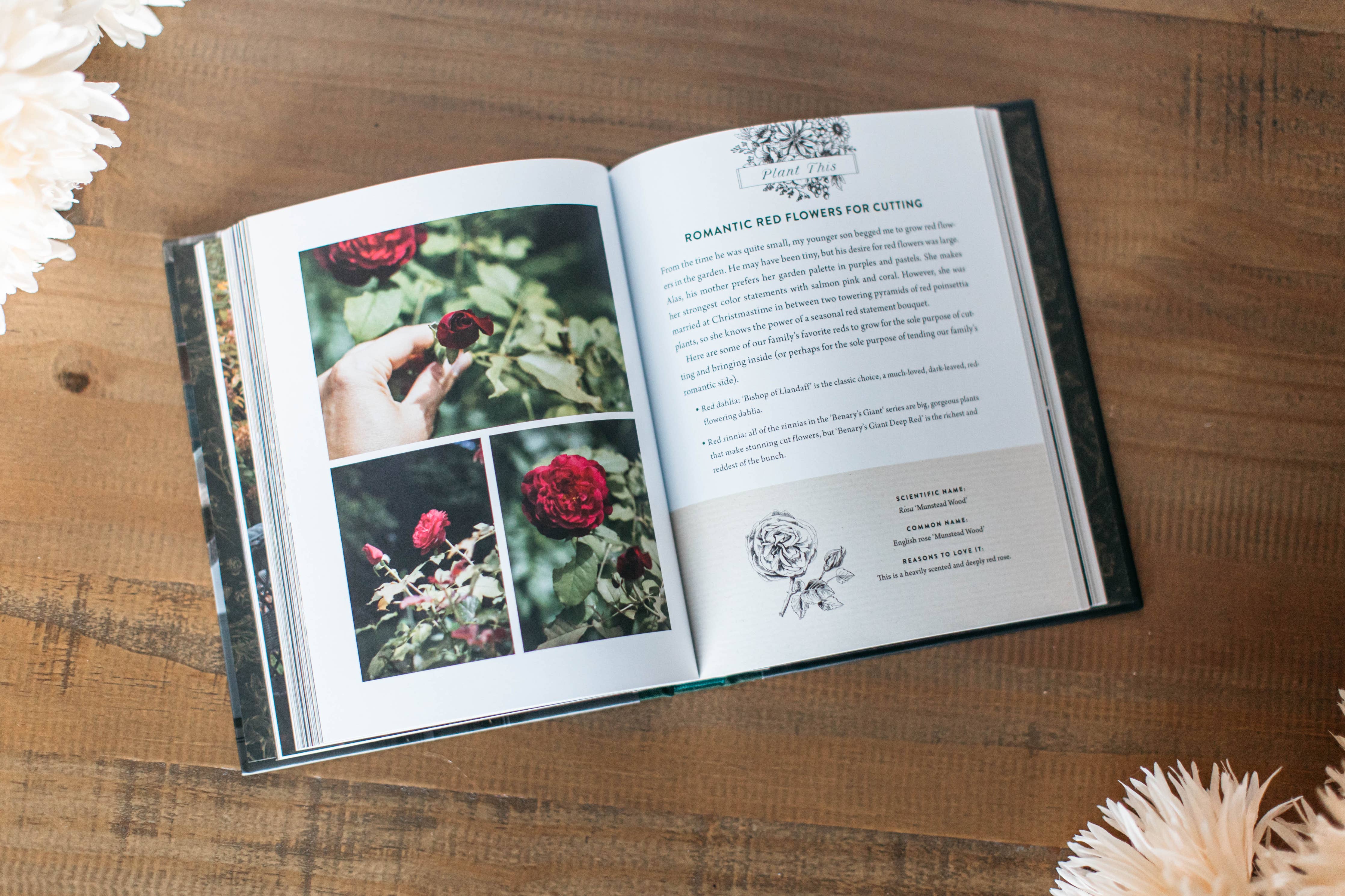 A Home in Bloom: Hardcover / English