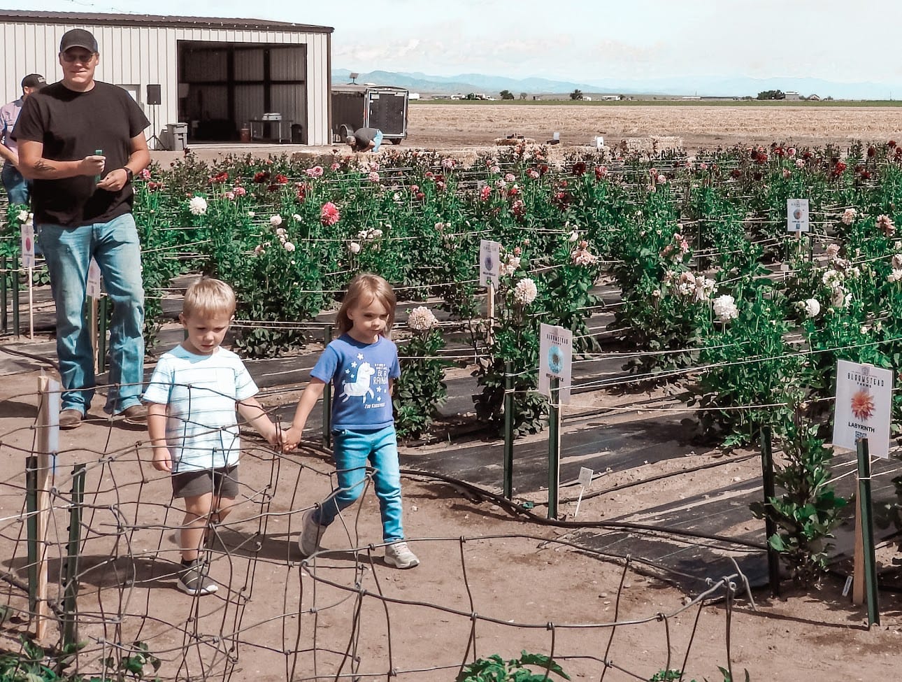 Fall at Bloomstead: Community Farm Day FREE! August 29th
