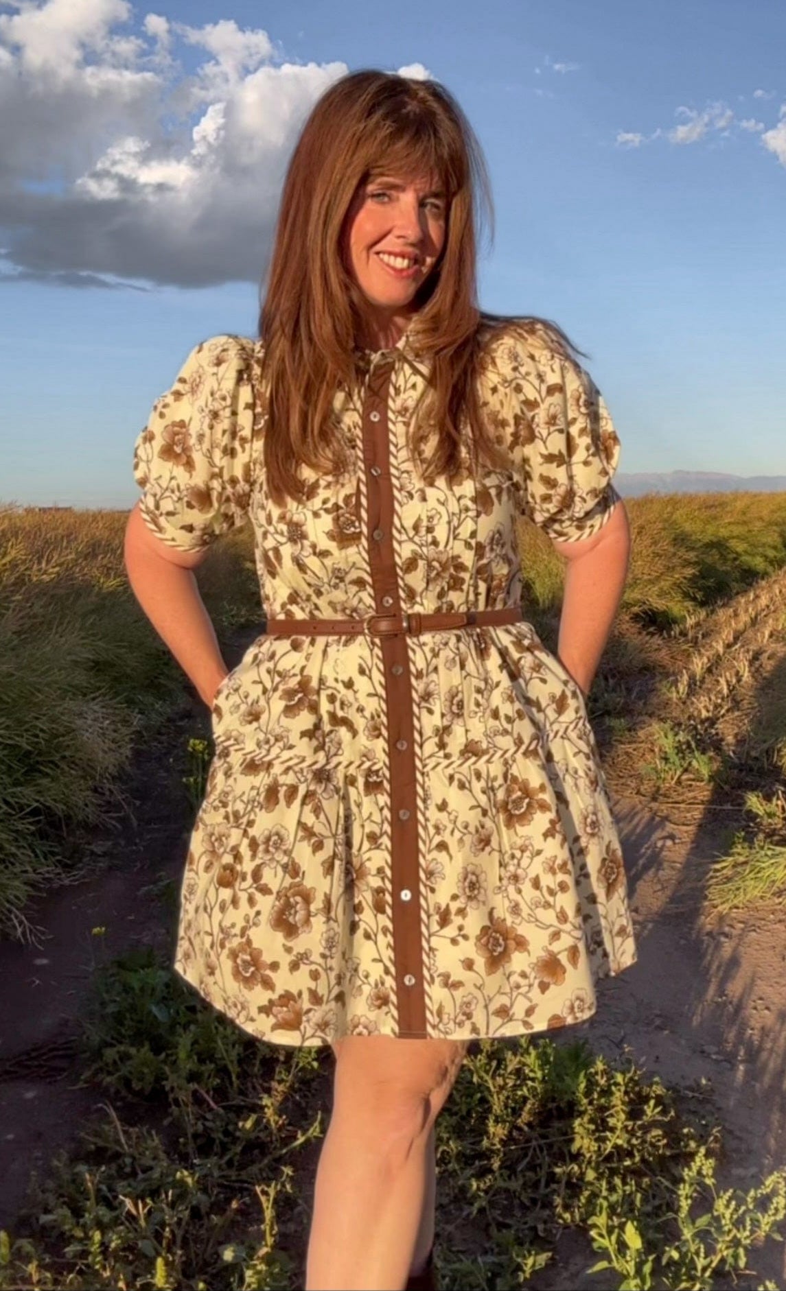 The Chestnut Dress
