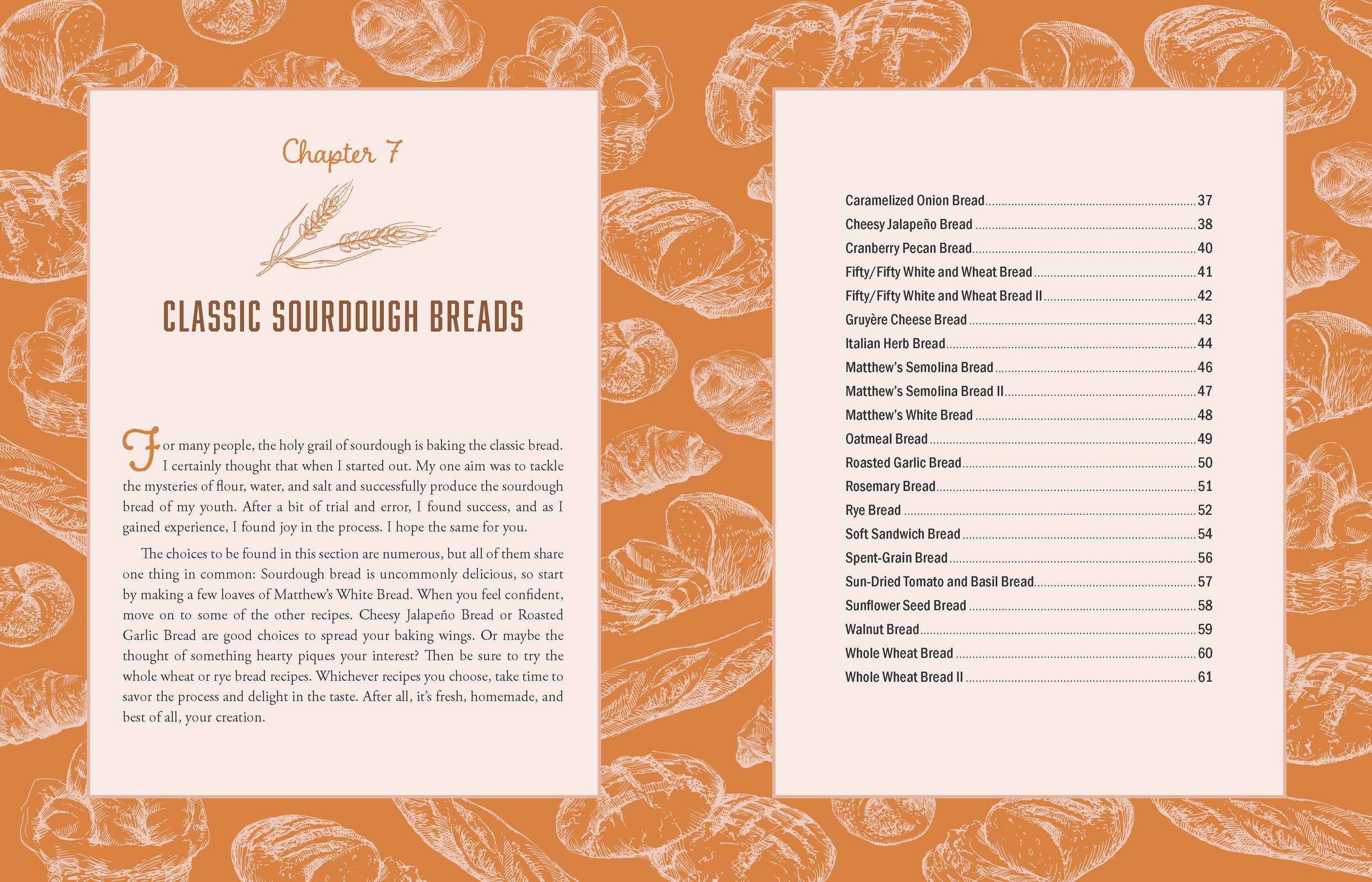 The Homestead Sourdough Cookbook: Paperback / English